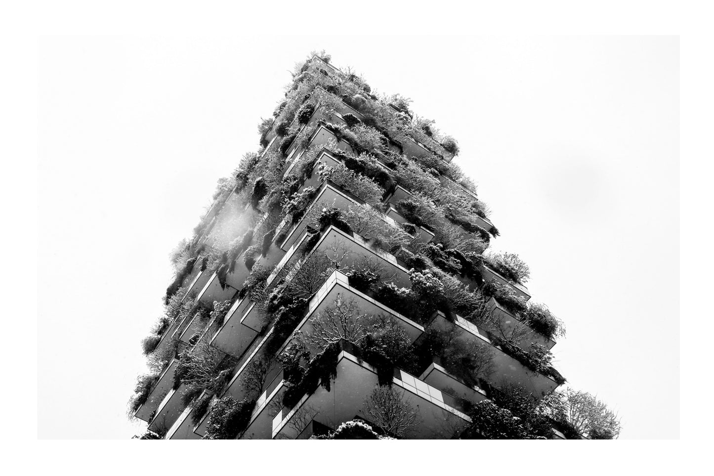 City of Milan - The Vertical Forest